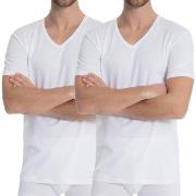 Calida 2P Natural Benefit V-shirt Hvit bomull XX-Large Herre