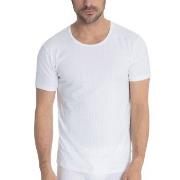 Calida Pure and Style T-shirt Hvit bomull Medium Herre