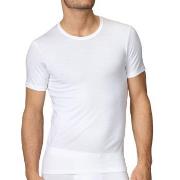 Calida Evolution T-Shirt 14661 Hvit 001 bomull XX-Large Herre