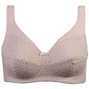 Damella BH Classic Soft Lace Bra Pudder A 75 Dame