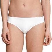 Schiesser Truser Invisible Lace Brief Hvit 42 Dame