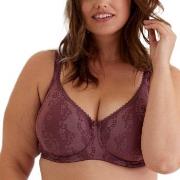 Swegmark BH Adamo Padded Soft Wired Bra Plomme C 75 Dame