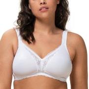 Triumph BH Modern Lace Cotton Soft Bra Hvit C 80 Dame