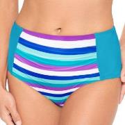 Wiki Swim Midi Brief Mixed 48 Dame