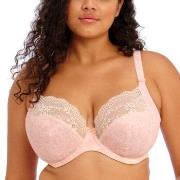 Elomi BH Lucie Underwire Stretch Plunge Bra Pudder E 105 Dame