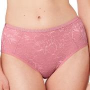 Triumph Truser Amourette Charm T Maxi 02 Rosa 38 Dame