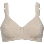 Swegmark BH Adamo Padded Soft Wired Bra Beige C 70 Dame