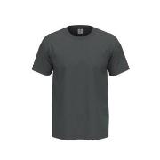 Stedman 4P Comfort Men T-shirt Grå bomull 5XL Herre