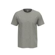 Stedman 4P Comfort Men T-shirt Lysgrå bomull XX-Large Herre