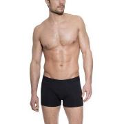 Bread and Boxers Boxer Brief 3P Svart økologisk bomull Large Herre