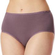 Schiesser Truser 2P Modal Essentials Midi Briefs Lilla/Svart bomull 38...