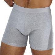 Bread and Boxers Brief Boxer Long Leg 3P Grå økologisk bomull XX-Large...