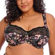 Elomi BH Morgan Banded Bra Svart blomstre J 95 Dame
