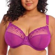 Elomi BH Matilda Underwired Plunge Bra Fuchsia/Lilla H 80 Dame