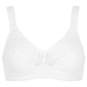 Damella BH Felice Soft Bra Hvit bomull D 90 Dame