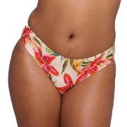 PrimaDonna Tanzania Bikini Rio Briefs Mixed 40 Dame
