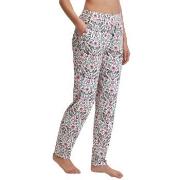 Calida Favourites Lavender Lyslilla bomull Small Dame