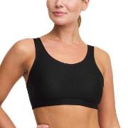 Swegmark BH Core Sports Bra Moulded Cups Svart polyamid X-Large Dame