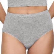 Triumph Truser Beauty Layers Wool Maxi Brief Grå ull Large Dame