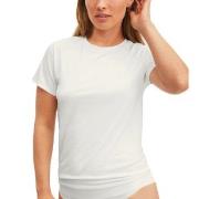 Calida Natural Skin T-shirt Hvit Medium Dame