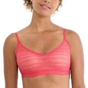 Sloggi BH FREE Evolve Lace Push-Up Bra Rosa Sloggi 02 Dame