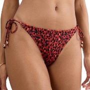 Triumph Midnight Swim Brazilian Bikini Bottom Rød/Svart 36 Dame