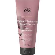 Urtekram Color Preserve Conditioner Soft Wild Rose - 180 ml