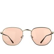 Corlin Eyewear Lucca Sunglasses Gold Cinnamon