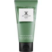 Antonio Axu Repair Shampoo Travel 60 ml