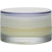 M Picaut Calming Cocoon Cream, 50 ml M Picaut Swedish Skincare Dagkrem