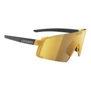 Gold Black/Rw Gold Idro Cat. Sunglasses