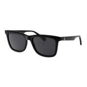 Stilige solbriller Ckj24601S