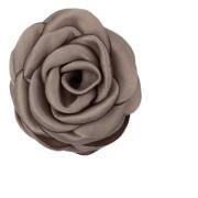 Satin Rose Hair Claw Taupe