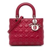 Pre-owned Leather dior-bags