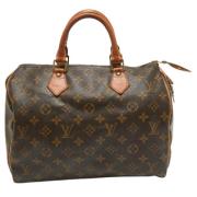 Pre-owned Leather louis-vuitton-bags