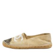 Pre-owned Raffia espadrilles