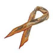 Pre-owned Silk scarves