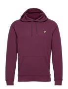 Pullover Hoodie Pink Lyle & Scott