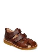 Sandals - Flat - Closed Toe - Brown ANGULUS