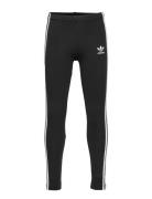 Leggings Black Adidas Originals