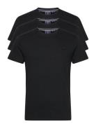 Essential Triple Pack T-Shirt Black Superdry