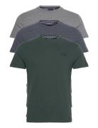 Essential Triple Pack T-Shirt Green Superdry