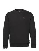 Oakport Sweatshirt Black Dickies