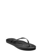 Slim Silver Fllip Flop Black SLEEPERS