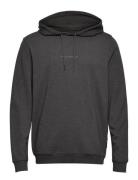 Jbs Of Dk Logo Hoodie Fsc Grey JBS Of Denmark