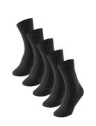 Socks Black Schiesser