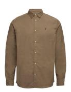 Hermosa Ls Shirt Brown AllSaints