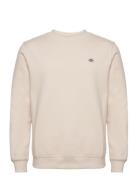 Oakport Sweatshirt Cream Dickies