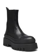 Cassandra Bootie Black Steve Madden