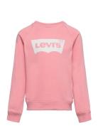 Lvg Ket Item Logo Crewneck Sweatshirt Pink Levi's